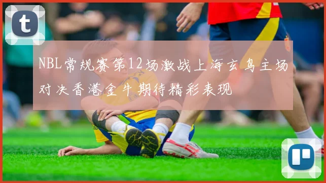NBL常规赛第12场激战上海玄鸟主场对决香港金牛期待精彩表现
