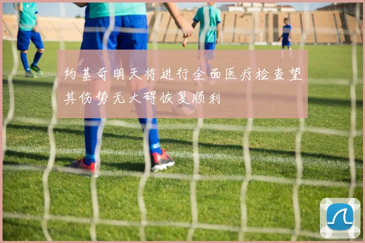 约基奇明天将进行全面医疗检查望其伤势无大碍恢复顺利