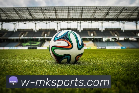 App Interface Preview