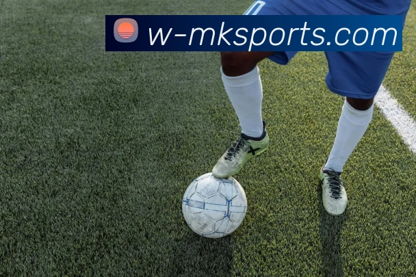 MK体育APP 封面图